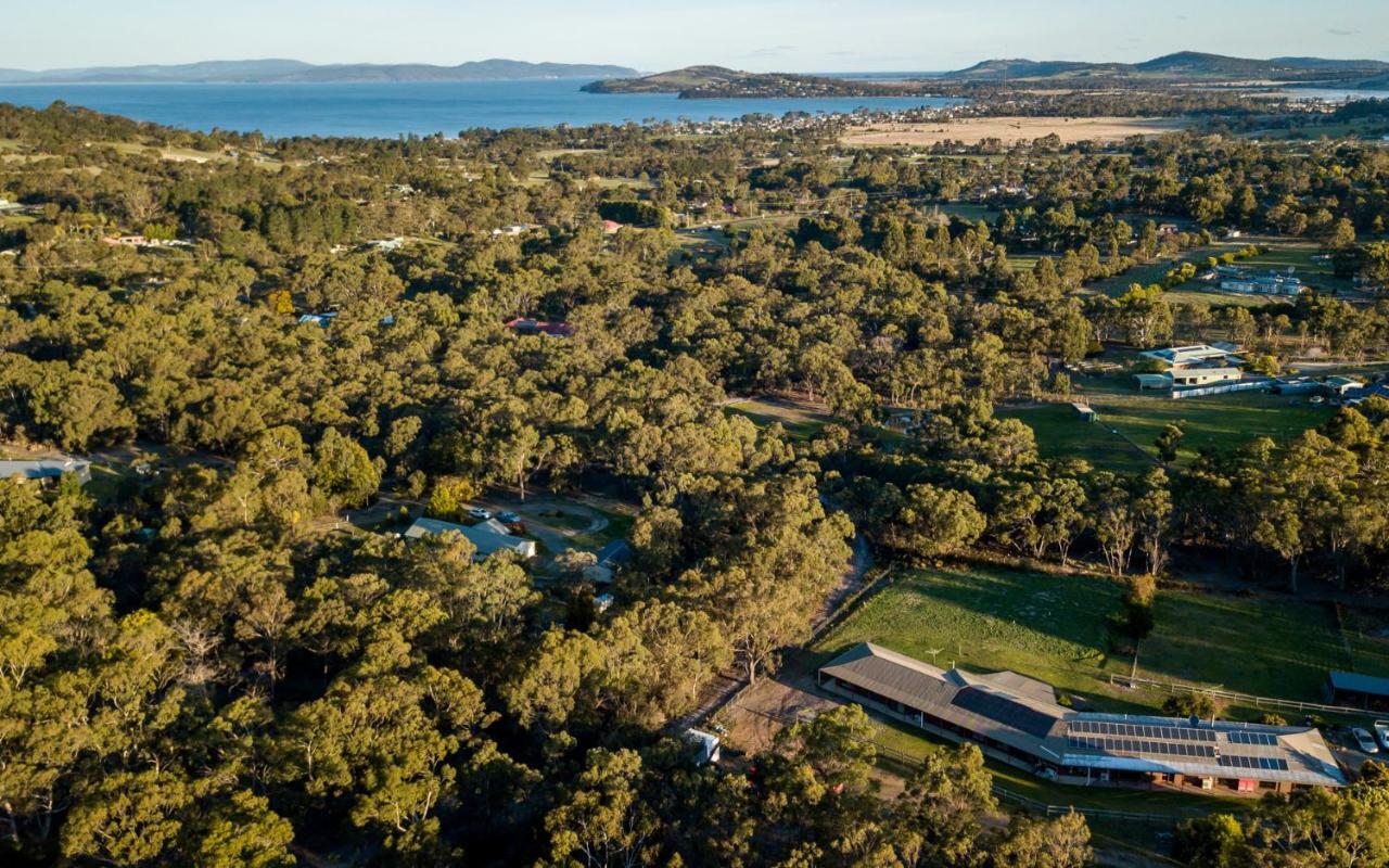 Acton Park Holiday Units Bagian luar foto